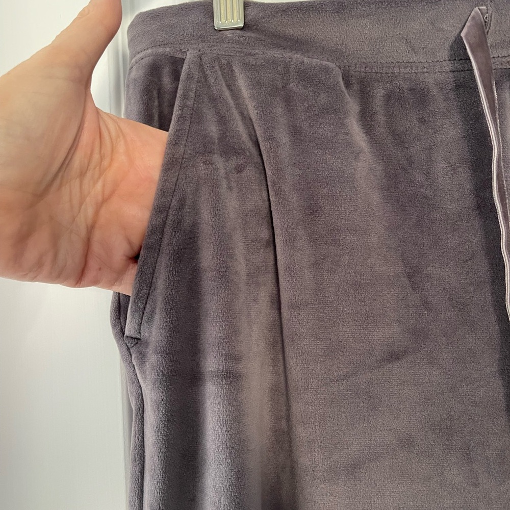 House of Harlow 1960 Velvet Velour Pull on Pants Straight Leg Size L Gray - Picture 4 of 8